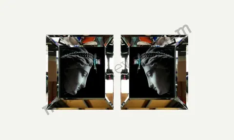 Sculpture Mirror Framed Painting