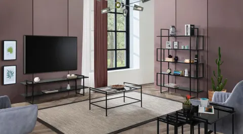 Zuma Tv Unit Set