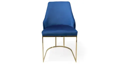 Alaska Gold Metal Leg Chair