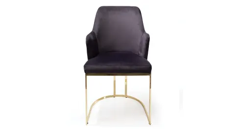 Arya Gold Metal Leg Chair