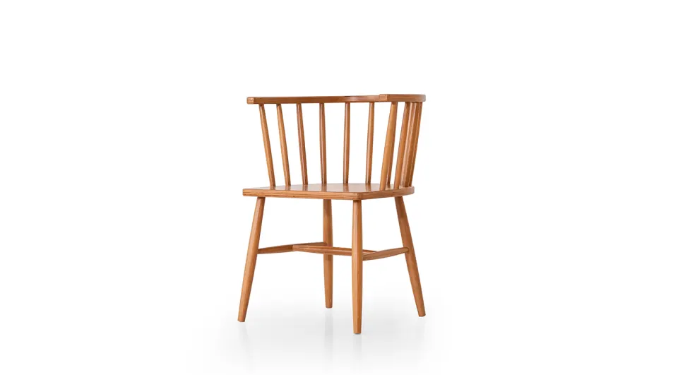 Omurga Chair