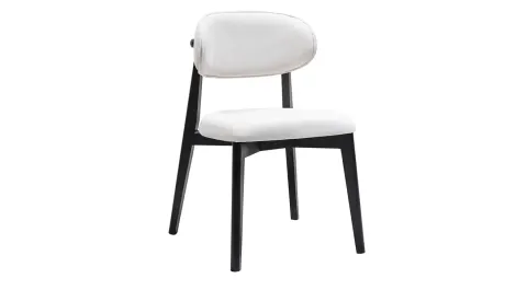 Lavin Wooden Leg Chair